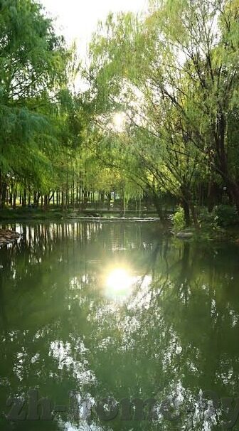 九游门户下载游戏-吸引你的游戏乐园，九游门户下载游戏的奇幻之旅